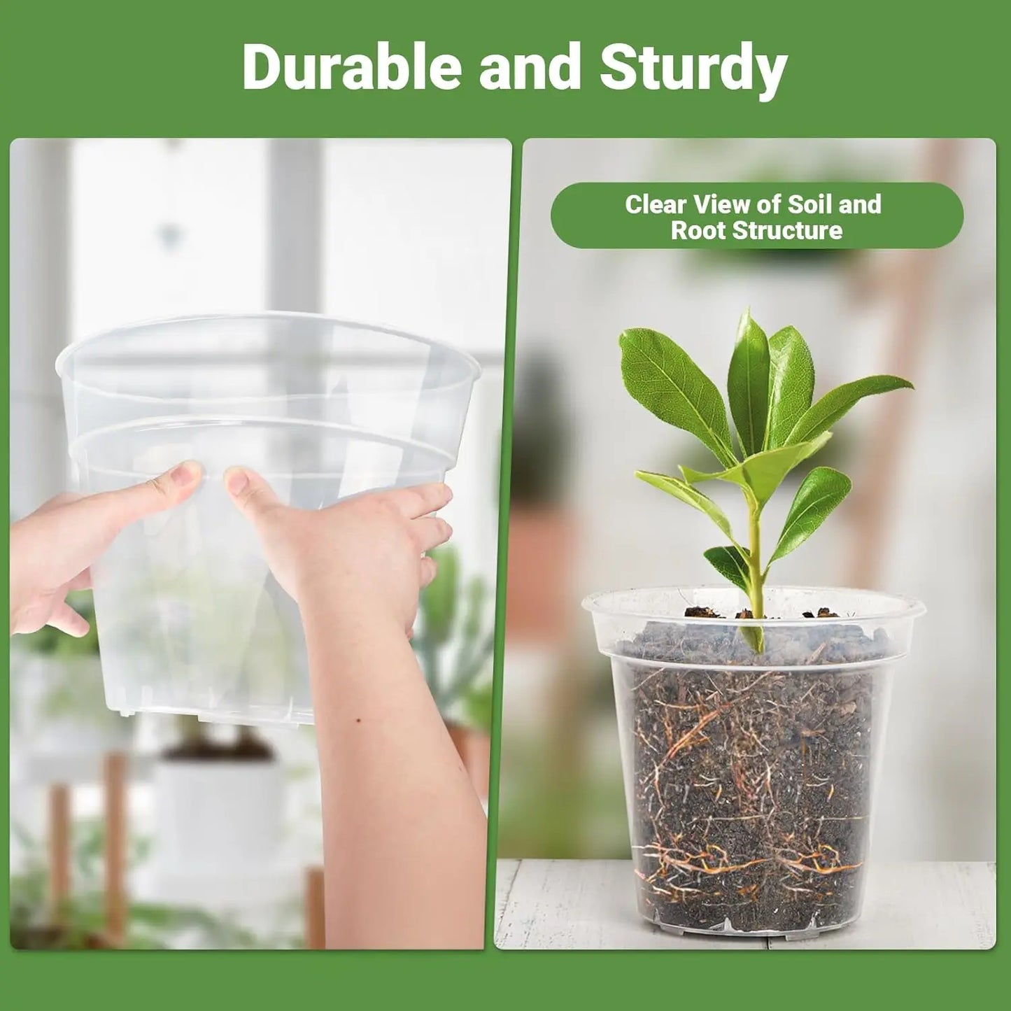 10-Inch Clear Nursery Pots with Drainage Holes and Plant Labels, Ideal for Flowers, Seeds, Succulents, Vegetables (10-Pack)