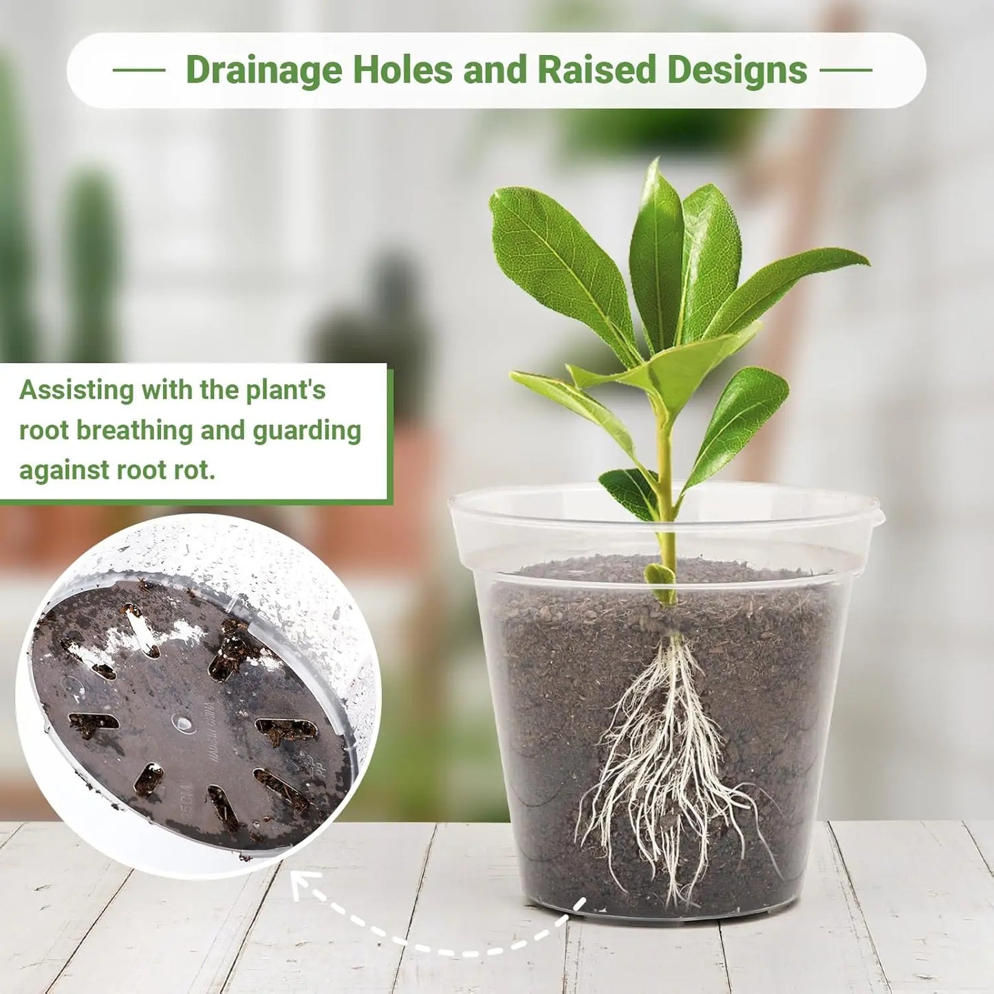 10-Inch Clear Nursery Pots with Drainage Holes and Plant Labels, Ideal for Flowers, Seeds, Succulents, Vegetables (10-Pack)